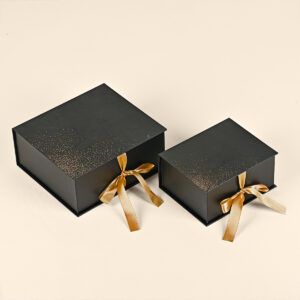 Luxe doos model 19